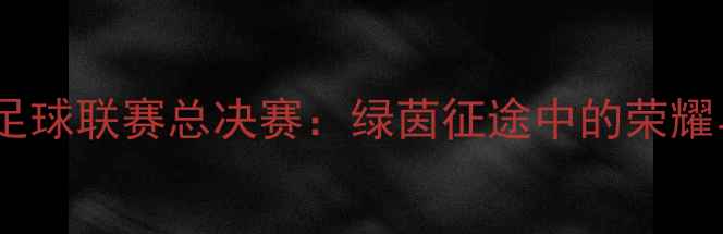 图片 山东省足球联赛总决赛：绿茵征途中的荣耀与传承2