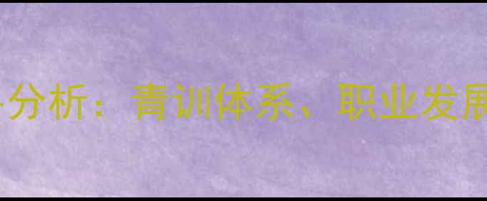图片 山东羽毛球水平分析：青训体系、职业发展、群众参与全1