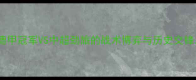 图片 山东鲁能vs拜仁慕尼黑：德甲冠军VS中超劲旅的战术博弈与历史交锋，中德足球巅峰对决前瞻2