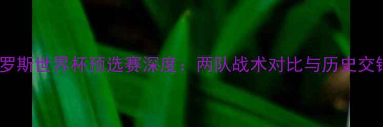 图片 巴西VS俄罗斯世界杯预选赛深度：两队战术对比与历史交锋全记录2