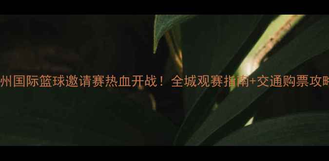 图片 常州国际篮球邀请赛热血开战！全城观赛指南+交通购票攻略1