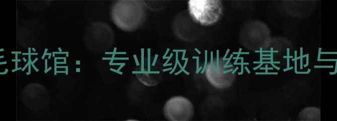 图片 广西立达羽毛球馆：专业级训练基地与赛事平台全2