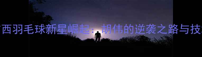 图片 广西羽毛球新星崛起：胡伟的逆袭之路与技术