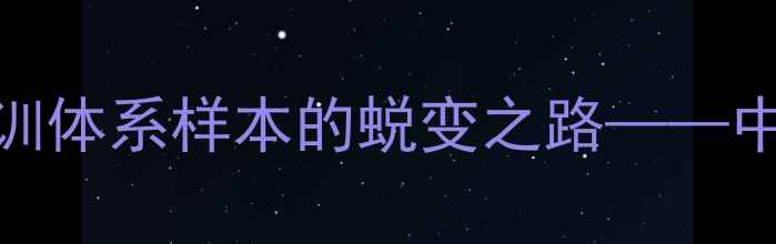 图片 张卫平：从职业联赛边缘到青训体系样本的蜕变之路——中国足球人才培养的机遇与挑战