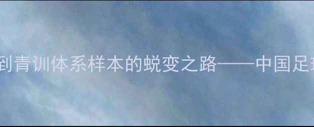 图片 张卫平：从职业联赛边缘到青训体系样本的蜕变之路——中国足球人才培养的机遇与挑战1