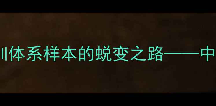 图片 张卫平：从职业联赛边缘到青训体系样本的蜕变之路——中国足球人才培养的机遇与挑战2