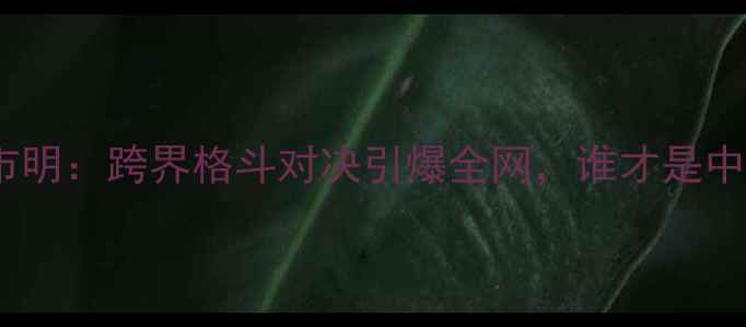 图片 徐晓东vs邹市明：跨界格斗对决引爆全网，谁才是中国MMA王者？