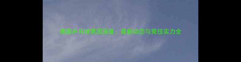 图片 德国乒乓球男团深度：最新动态与竞技实力全