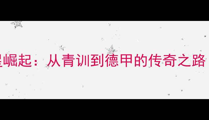 图片 德国足球新星崛起：从青训到德甲的传奇之路（最新分析）
