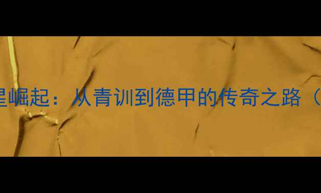 图片 德国足球新星崛起：从青训到德甲的传奇之路（最新分析）2