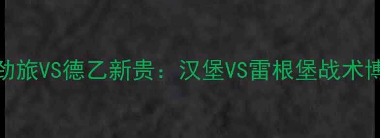 图片 德甲劲旅VS德乙新贵：汉堡VS雷根堡战术博弈全
