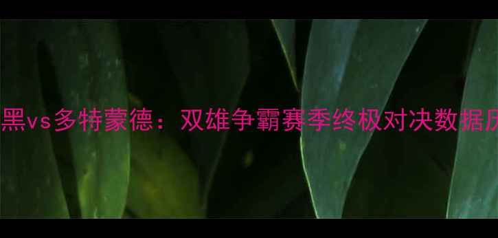 图片 德甲焦点战拜仁慕尼黑vs多特蒙德：双雄争霸赛季终极对决数据历史恩怨与战术博弈1