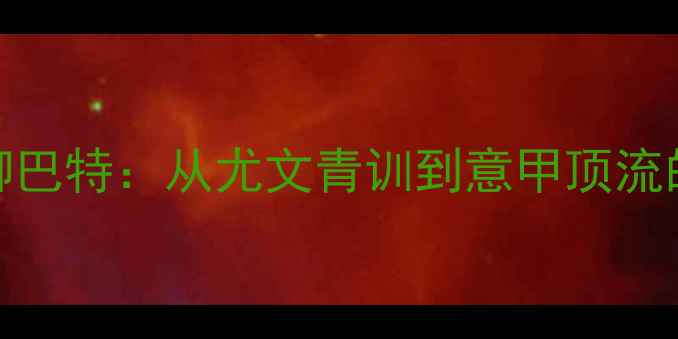 图片 意大利国脚巴特：从尤文青训到意甲顶流的逆袭之路