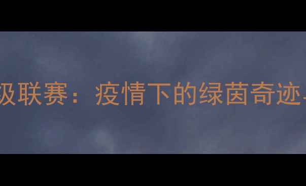 图片 意大利足球甲级联赛：疫情下的绿茵奇迹与防疫新标杆2