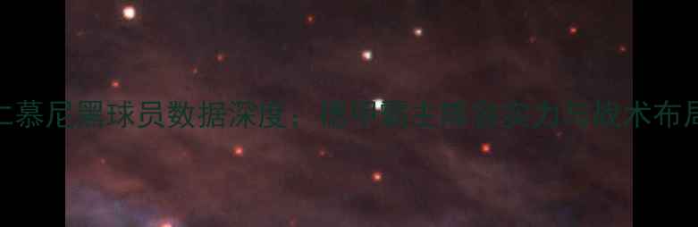 图片 拜仁慕尼黑球员数据深度：德甲霸主阵容实力与战术布局全