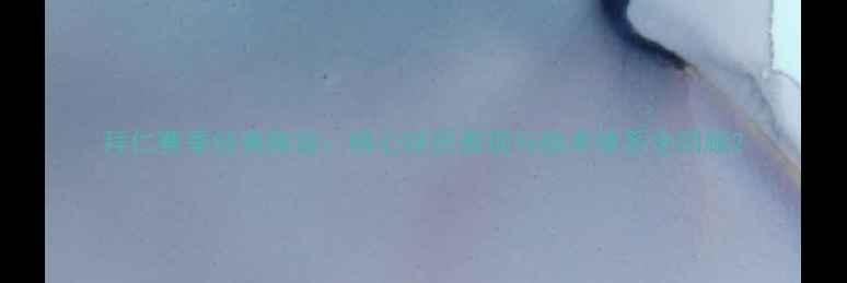 图片 拜仁赛季经典阵容：核心球员表现与战术体系全回顾2