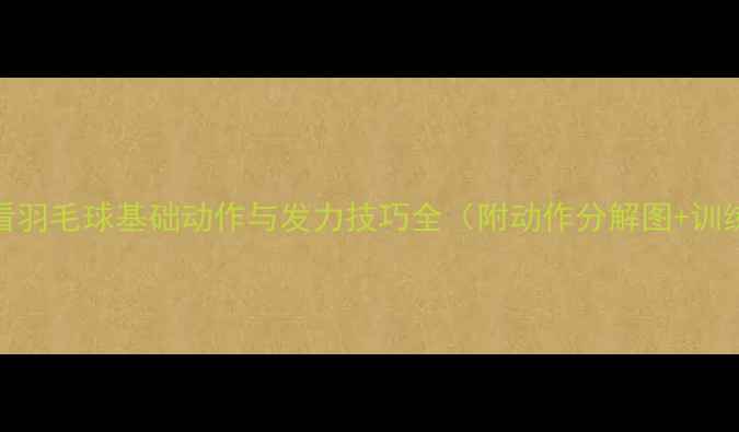 图片 新手必看羽毛球基础动作与发力技巧全（附动作分解图+训练计划）