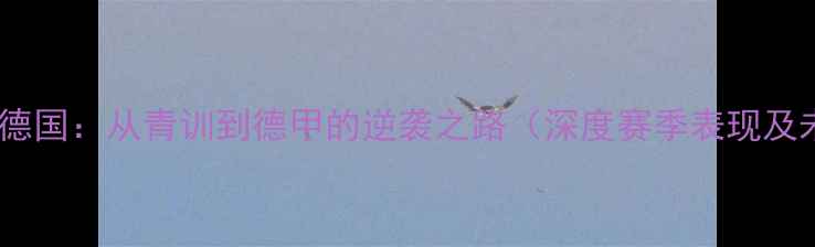 图片 日本球员在德国：从青训到德甲的逆袭之路（深度赛季表现及未来展望）2