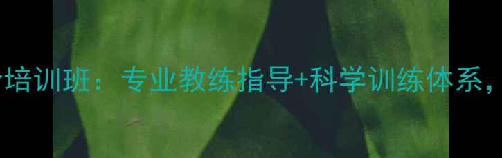 图片 暑期羽毛球零基础到进阶培训班：专业教练指导+科学训练体系，助力学员快速提升球技1