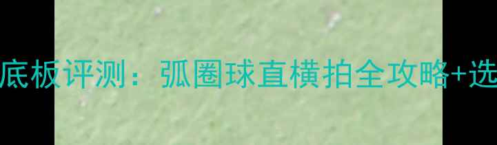 图片 最新乒乓球底板评测：弧圈球直横拍全攻略+选购避坑指南