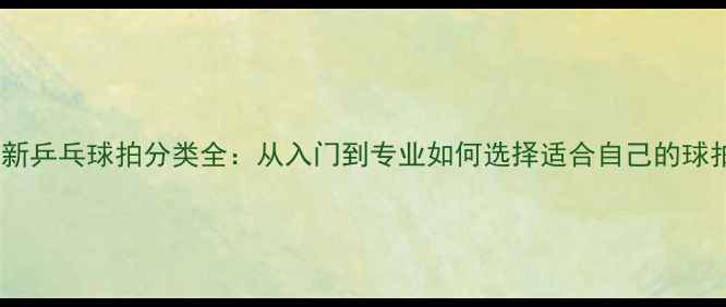 图片 最新乒乓球拍分类全：从入门到专业如何选择适合自己的球拍1