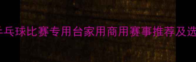 图片 最新款乒乓球比赛专用台家用商用赛事推荐及选购指南2