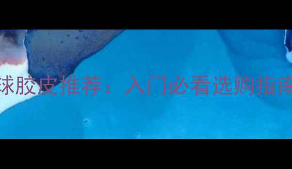 图片 最新版乒乓球胶皮推荐：入门必看选购指南与品牌评测