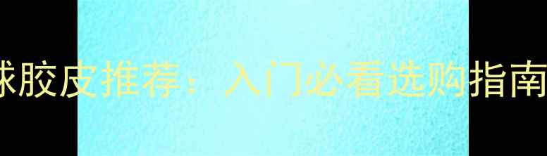 图片 最新版乒乓球胶皮推荐：入门必看选购指南与品牌评测2