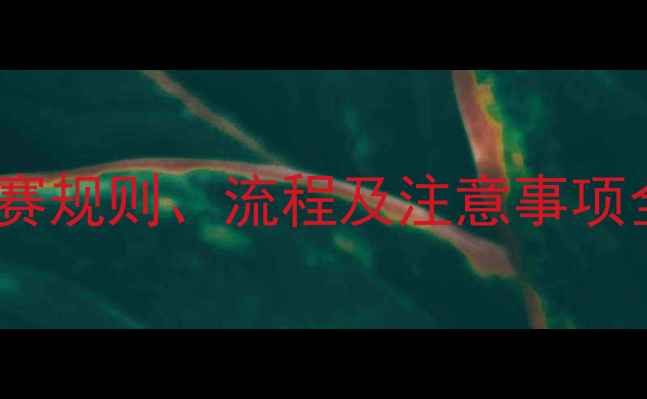 图片 最新版：羽毛球比赛规则、流程及注意事项全（附入门技巧）1