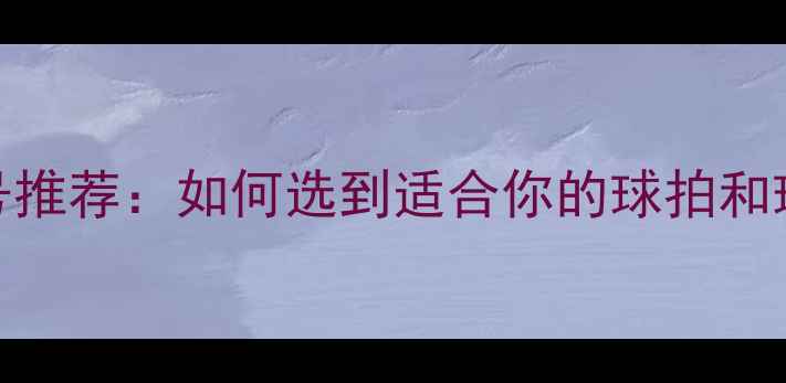 图片 最新羽毛球型号推荐：如何选到适合你的球拍和球？附避坑指南