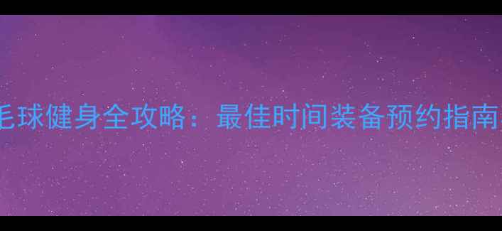 图片 朝阳公园羽毛球健身全攻略：最佳时间装备预约指南与注意事项1