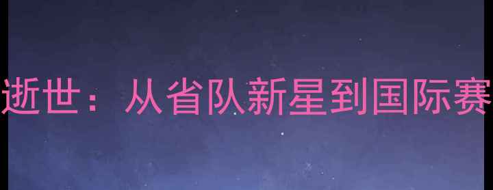 图片 杭州羽毛球名将张伟逝世：从省队新星到国际赛场传奇的18年人生路