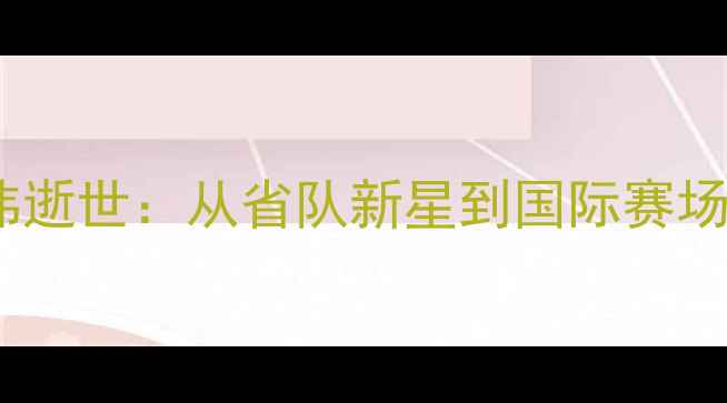图片 杭州羽毛球名将张伟逝世：从省队新星到国际赛场传奇的18年人生路1