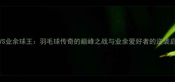 图片 林丹VS业余球王：羽毛球传奇的巅峰之战与业余爱好者的逆袭启示录