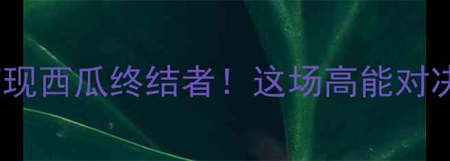 图片 林丹羽毛球比赛惊现西瓜终结者！这场高能对决的三大隐藏细节1