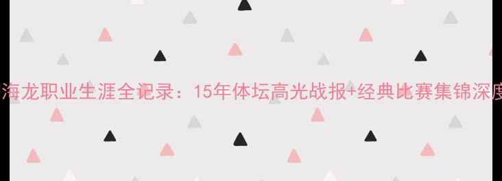 图片 柳海龙职业生涯全记录：15年体坛高光战报+经典比赛集锦深度2
