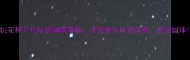 图片 桃花杯乒乓球赛圆满落幕：全民参与体育盛事，感受国球1