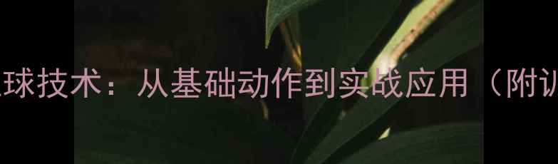 图片 横拍反手拉球技术：从基础动作到实战应用（附训练计划）2