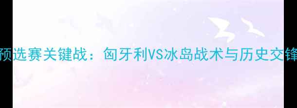 图片 欧洲杯预选赛关键战：匈牙利VS冰岛战术与历史交锋大数据