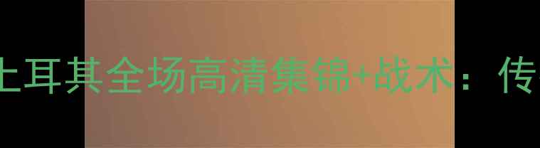 图片 欧洲杯预选赛西班牙vs土耳其全场高清集锦+战术：传控大战与关键球员对决2
