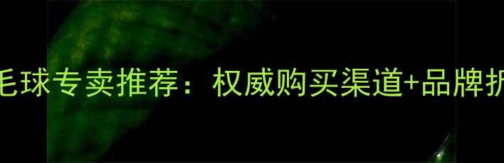 图片 正品羽毛球专卖推荐：权威购买渠道+品牌折扣指南