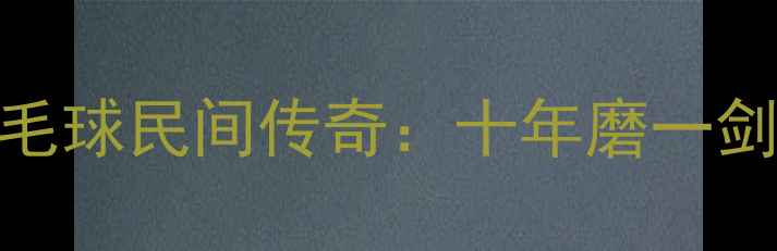 图片 武汉东湖高新区羽毛球民间传奇：十年磨一剑的业余高手成长记