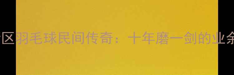 图片 武汉东湖高新区羽毛球民间传奇：十年磨一剑的业余高手成长记1