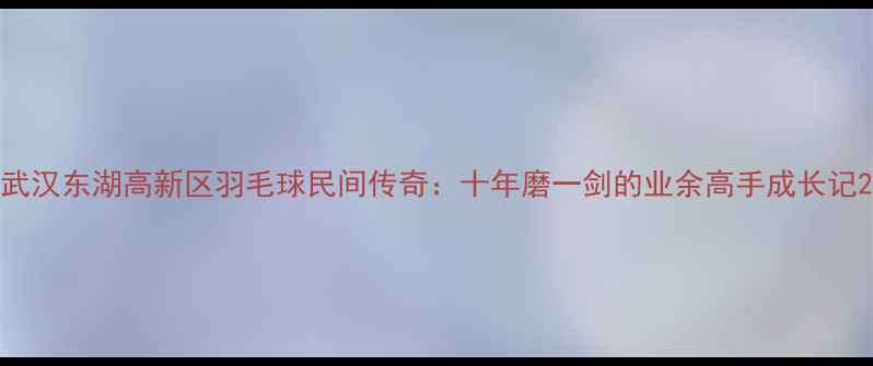 图片 武汉东湖高新区羽毛球民间传奇：十年磨一剑的业余高手成长记2