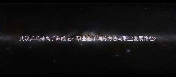 图片 武汉乒乓球高手养成记：职业选手训练方法与职业发展路径2