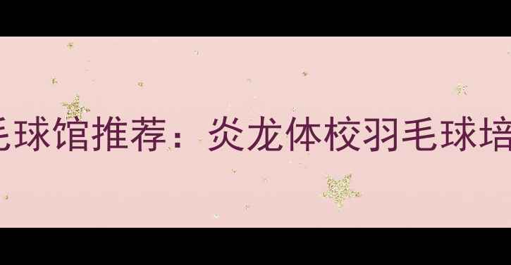 图片 武汉江汉区专业羽毛球馆推荐：炎龙体校羽毛球培训课程与赛事指南1