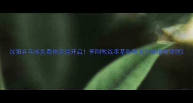 图片 沈阳乒乓球免费体验课开启！李刚教练零基础教学引爆爆款课程2