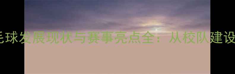 图片 河南工大羽毛球发展现状与赛事亮点全：从校队建设到校园文化2