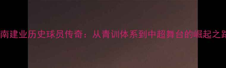 图片 河南建业历史球员传奇：从青训体系到中超舞台的崛起之路1