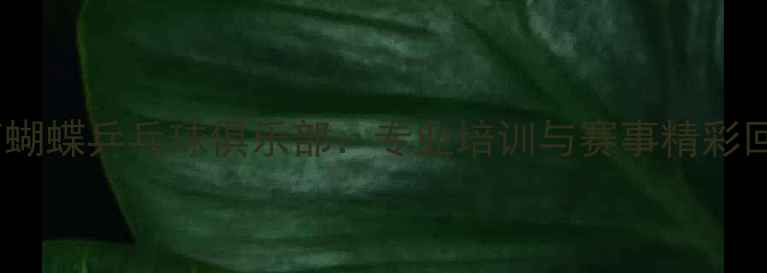 图片 济南蝴蝶乒乓球俱乐部：专业培训与赛事精彩回顾1